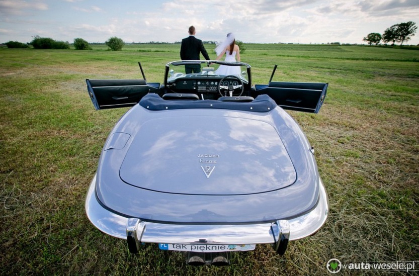 Jaguar - auto ślubne na sesję na wsi