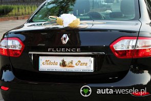 Fluence - zdjęcie pojazdu