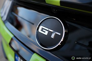 MUSTANG GT V8 5.0 - zdjęcie pojazdu