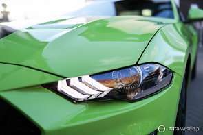 MUSTANG GT V8 5.0 - zdjęcie pojazdu