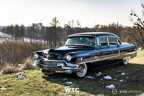 Cadillac 1956 Fleetwood - zdjęcie pojazdu