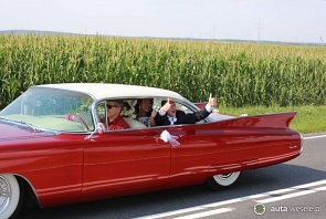 Auto Auta do Ślubu Mustang Cadillac na Wesele - zdjęcie pojazdu