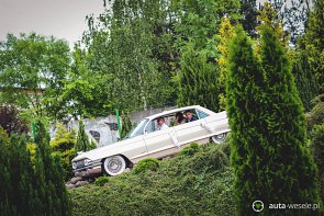 Cadillac de ville 1961 - zdjęcie pojazdu