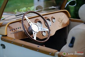 Alfa Spider / Alfa Gold - zdjęcie pojazdu