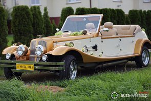 Alfa Spider / Alfa Gold - zdjęcie pojazdu