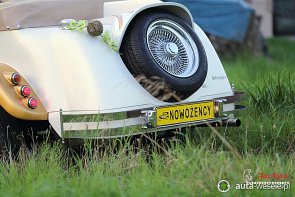 Alfa Spider / Alfa Gold - zdjęcie pojazdu