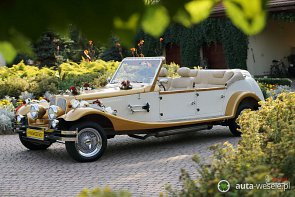 Alfa Spider / Alfa Gold - zdjęcie pojazdu