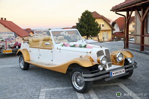 Alfa Spider / Alfa Gold - zdjęcie pojazdu