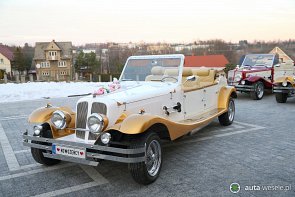 Alfa Spider / Alfa Gold - zdjęcie pojazdu