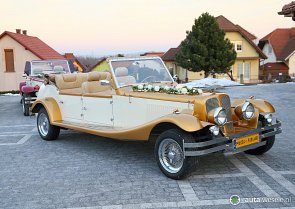 Alfa Spider / Alfa Gold - zdjęcie pojazdu