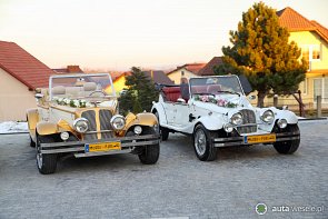 Alfa Spider / Alfa Gold - zdjęcie pojazdu