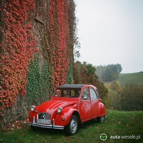 Citroen 2CV 6 Club - zdjęcie pojazdu