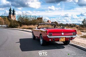 FORD MUSTANG 1966 KABRIOLET - zdjęcie pojazdu