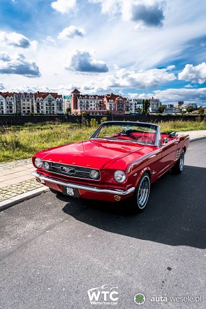 FORD MUSTANG 1966 KABRIOLET - zdjęcie pojazdu