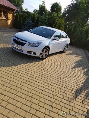 Chevrolet Cruze - zdjęcie pojazdu