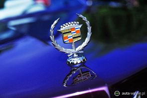 ♥ Cadillac Kabrio z 1969 - idealny na Twój Ślub ♥ - zdjęcie pojazdu