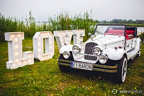 Alfa Romeo - zdjęcie pojazdu