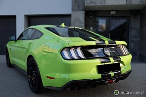 MUSTANG GT V8 5.0 - zdjęcie pojazdu