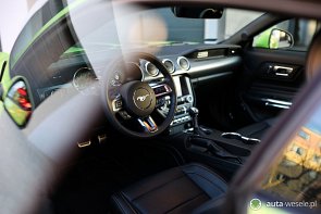 MUSTANG GT - zdjęcie pojazdu