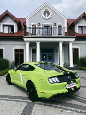 MUSTANG GT V8 5.0 - zdjęcie pojazdu