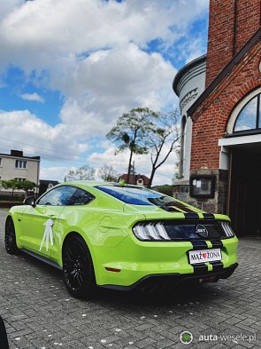 MUSTANG GT V8 5.0 - zdjęcie pojazdu