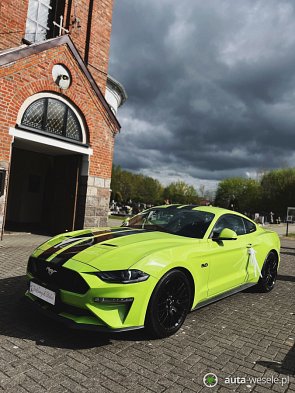 MUSTANG GT V8 5.0 - zdjęcie pojazdu